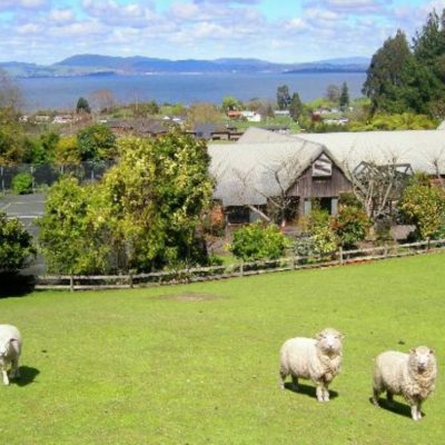 NZ_ A Panorama Country Homestay2