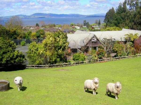 NZ_ A Panorama Country Homestay2